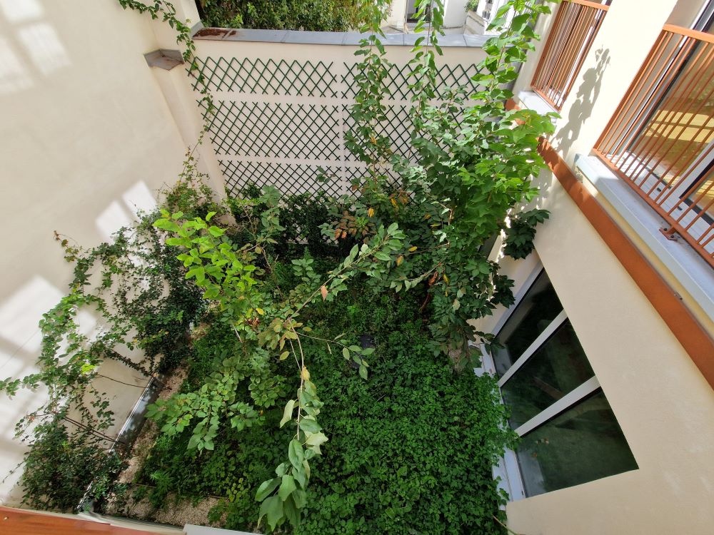 vente Commerces Paris - Photo 6